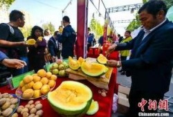 近期吃瓜事件辽宁,揭秘近期热点事件背后的真相