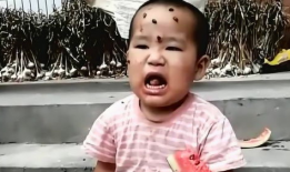 吃瓜的熊孩子,揭秘校园里的欢乐时光