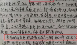 在瓜园里吃瓜作文,甜蜜时光