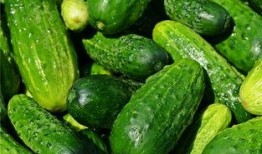 梦见吃碎瓜,揭秘吃碎瓜的神秘寓意