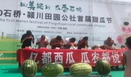 临颍县鼓楼吃瓜,夏日吃瓜盛宴，品味传统与现代交融