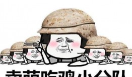 用皮皮瓜吃鸡,一场欢乐的美食冒险之旅