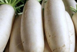 吃瓜大白温颜18,揭秘娱乐圈的甜蜜瓜田