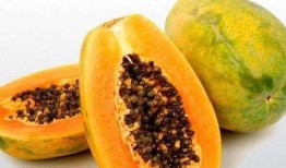 梦里买瓜吃瓜什么预兆,预示着什么美好未来？