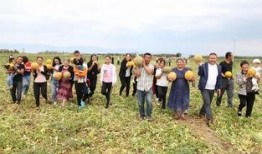 吃瓜老汉甘肃,吃瓜老汉的瓜田生活