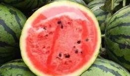 米山舞吃瓜,揭秘娱乐圈的甜蜜与苦涩