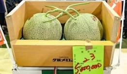 吃瓜的日语,日式“吃瓜群众”现象解析