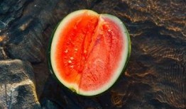 金石吃瓜,揭秘娱乐圈幕后故事