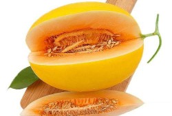 主播吃小瓜蜜瓜视频,甜蜜滋味引网友热议