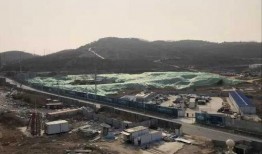 青岛吃瓜新动态,吃瓜群众聚焦最新潮流