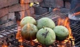 国家吃瓜排名,揭秘各地瓜果美食争霸盛况