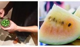 可爱中国吃瓜群众视频,跟随可爱中国吃瓜群众，一起品味生活百态