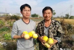 吃瓜群众绍兴,吃瓜群众视角下的绍兴风情