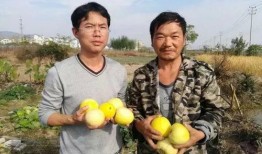 吃瓜群众绍兴,吃瓜群众视角下的绍兴风情