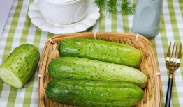 九宸吃瓜,揭秘娱乐圈背后的秘密与真相