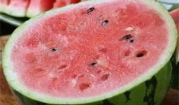 吃麒麟瓜合集,穿越时空的甜蜜之旅