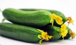 尿酸高吃方瓜,天然食疗新选择