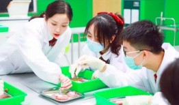 生物老师在线吃瓜,老师在线吃瓜，趣味横生