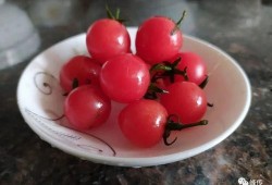 小番茄cherry吃瓜