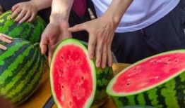 科大 吃瓜,揭秘校园“吃瓜”背后的故事