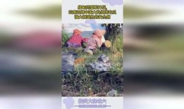 边境大妈吃瓜,一场独特的乡村食趣之旅