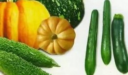 老金吃瓜,揭秘娱乐圈幕后故事