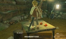 塞尔达女城吃瓜,揭秘神秘吃瓜背后的故事