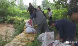 上党区吃瓜群众事件,一场网络舆论的风暴与反思